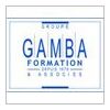 GAMBA FORMATION GAMBA FORMATION
