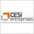 CESI ENTREPRISES CESI ENTREPRISES